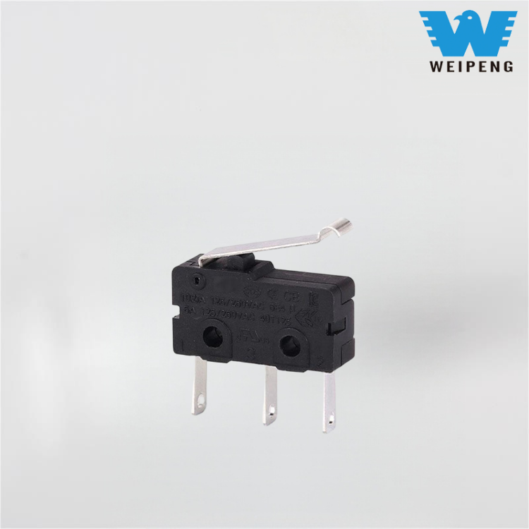 10A मीट ग्राइंडर ब्लेंडर आणि सोया मिल्क मेकर स्विच