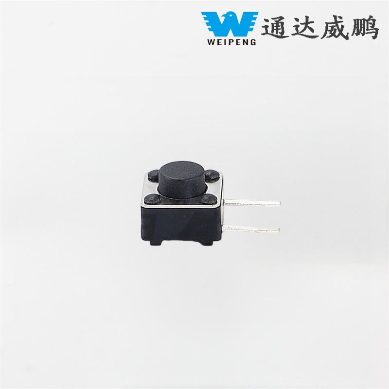 6X6 SMD स्पर्शा स्विच दोन-पिन बटण